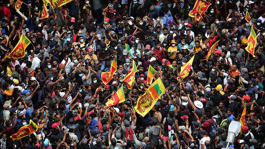 Sri Lanka’s Urban Voters Prioritize Economic Stability and Reforms Ahead of Presidential Election